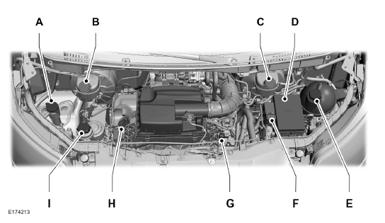 Ford Transit. Vue d'ensemble sous le capot 